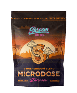 microdose magic mushrooms - 6 mushroom blend