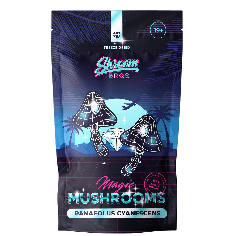 Buy the best freeze dried Panaeolus Cyanescens Magic Mushrooms online in Canada