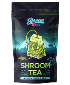 lemon ginger magic mushroom tea - shroom bros
